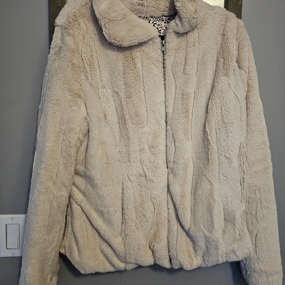 Elegant Cream Teddy Jacket for Women